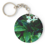 Eucharis Grandiflora (Amazon) Pink flowers Key Chains