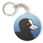 Eurasian Coot