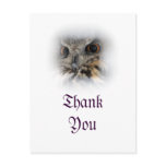 Eurasian Eagle-owl Thank You Postcard