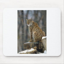 Eurasian Lynx (Lynx lynx) 3 Mousepads