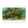 Eurasian Lynx Post Cards