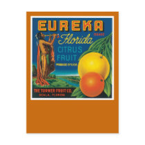 Eureka Florida Citrus Fruit Postcard