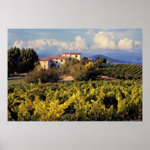 Europe, France, Bonnieux. Vineyards cover the Print