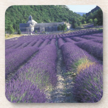 Europe, France, Provence. Lavander fields Drink Coasters