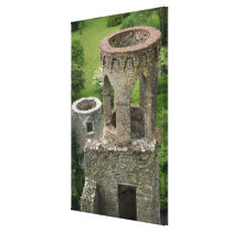 Europe, Ireland, Blarney Castle. THIS IMAGE