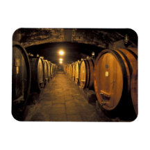 Europe, Italy, Toscana region. Chianti cellars Rectangular Magnets