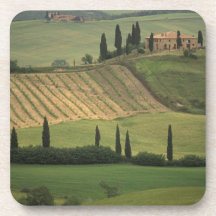 Europe, Italy, Tuscany, Val d' Orcia, Tuscan Coasters