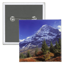 Europe, Switzerland, Eiger. Fall colours abound Buttons