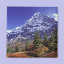 Europe, Switzerland, Eiger. Fall colours abound magnets