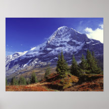 Europe, Switzerland, Eiger. Fall colours abound Posters