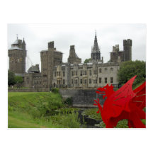 Europe, Wales, Cardiff. Cardiff Castle. Welsh 2 Postcard