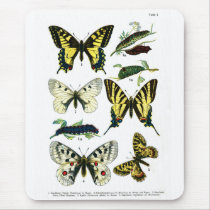 European Butterflies Plate I Mousepad