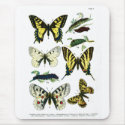 European Butterflies Plate I Mousepad