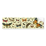 European Butterfly Collage Bumper Sticker