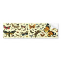 European Butterfly Collage bumper stickers