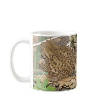 European Common Toad Coffee Mug