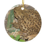European Common Toad Custom Birthday ornaments
