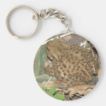 European Common Toad Keychain