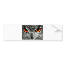 European Eagle Owl Bumper Stickers