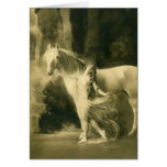 European Euqine Photo Art 7 cards