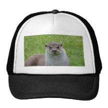 European Otter Hats