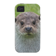 European Otter iPhone 4/4S Covers