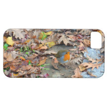 European Robin Bird iPhone 5 Cases