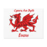 Evans Welsh Dragon Postcards