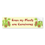 Even my plants are Carnivores bumper stickers