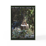 Even Nature Can Have A Bad Hair Day! Gifts Apparel cards