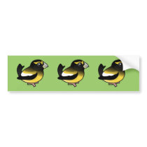 Evening Grosbeak Bumper Stickers