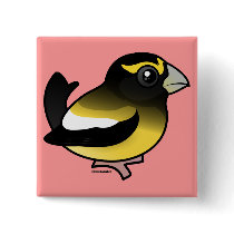 Evening Grosbeak Pinback Button