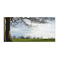 Evening landscape Canvas Gallery Wrapped Canvas