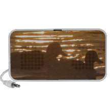 Evening Splendour iPhone Speakers