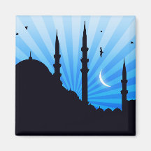 Evening stars in Istanbul Refrigerator Magnet