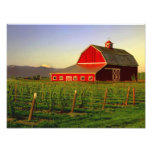Evening sun on a barn in Washington's Skagit photography