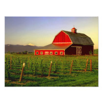 Evening sun on a barn in Washington's Skagit
