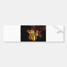 Evening Sunset Tree 2 Bumper Stickers