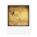 Evening Walk (white) postcards
