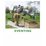 EVENTING Do you have what it takes? t-shirts