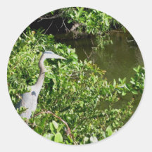 Everglades - Heron in swamp Round Sticker