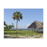 Everglades National Park, Florida Postcard