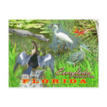 Everglades National Park, Florida postcards