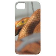 Everglades Rat Snake iPhone 5 Cases