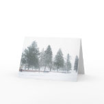 Evergreen Scene Care Greeting Card