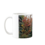 Evergreen Tree in Autumn mugs