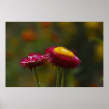 Everlasting Flower Duet Poster
