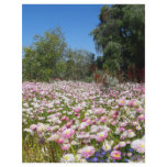 Everlasting Flowers flyers