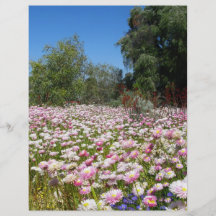 Everlasting Flowers Flyer Design