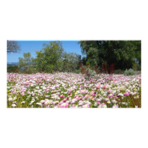 Everlasting Flowers Personalized Photo Card